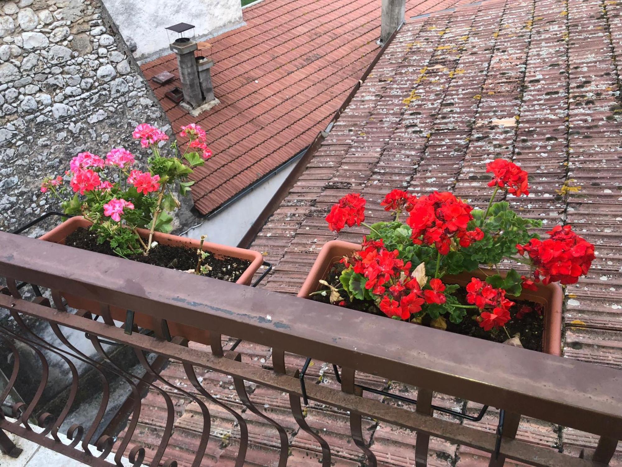 Bed And Breakfast Il Cavaliere Pozzilli Ngoại thất bức ảnh